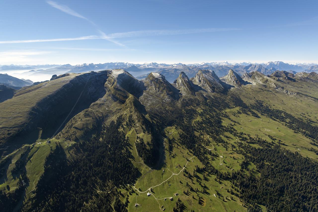 Hotel Stump'S Alpenrose Wildhaus Extérieur photo